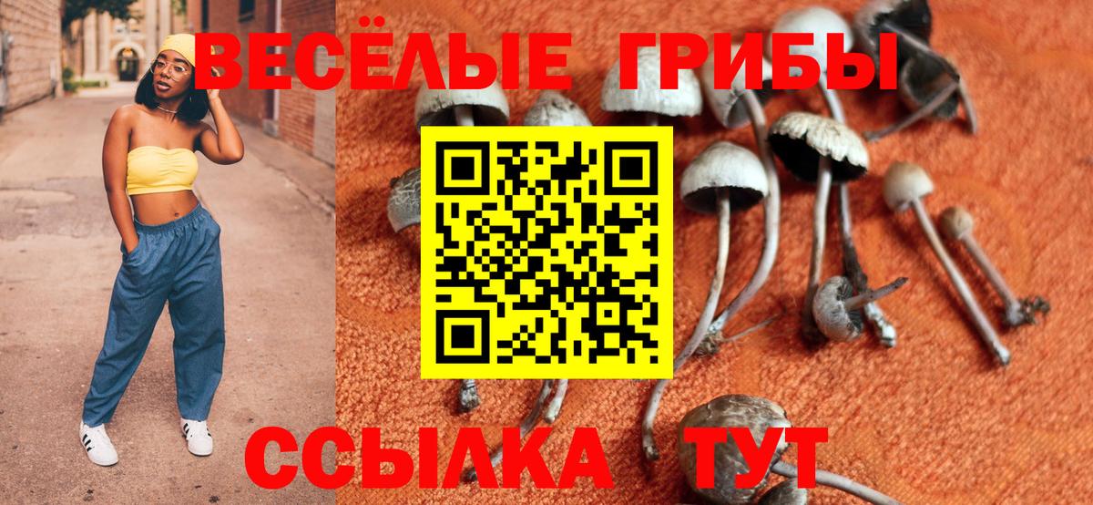 Йошкар-Ола  Псилоцибиновые грибы Magic Shrooms  Вход с VPN  Псилоцибиновые грибы Psilocybine cubensis 